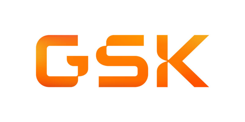 gsk norvece turk genel mudur