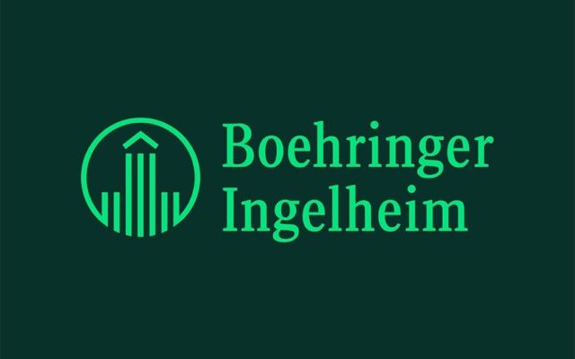 boehringer ingelheimdan ust duzey atama