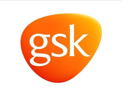 gsk turkiye