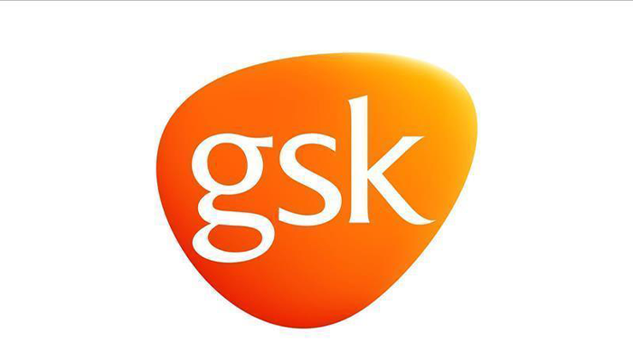 gsk turkiye