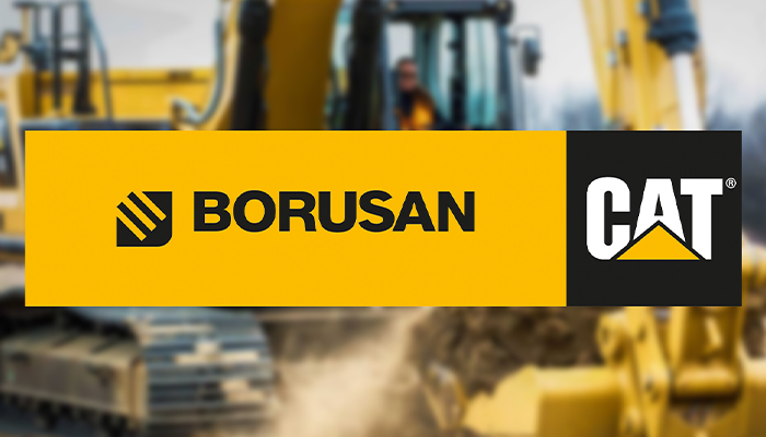 borusancat