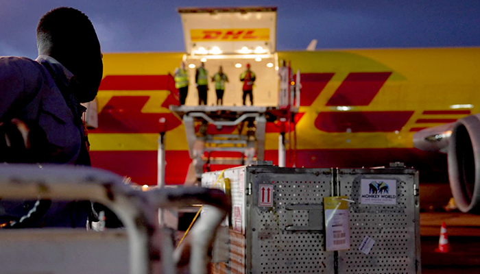 dhl